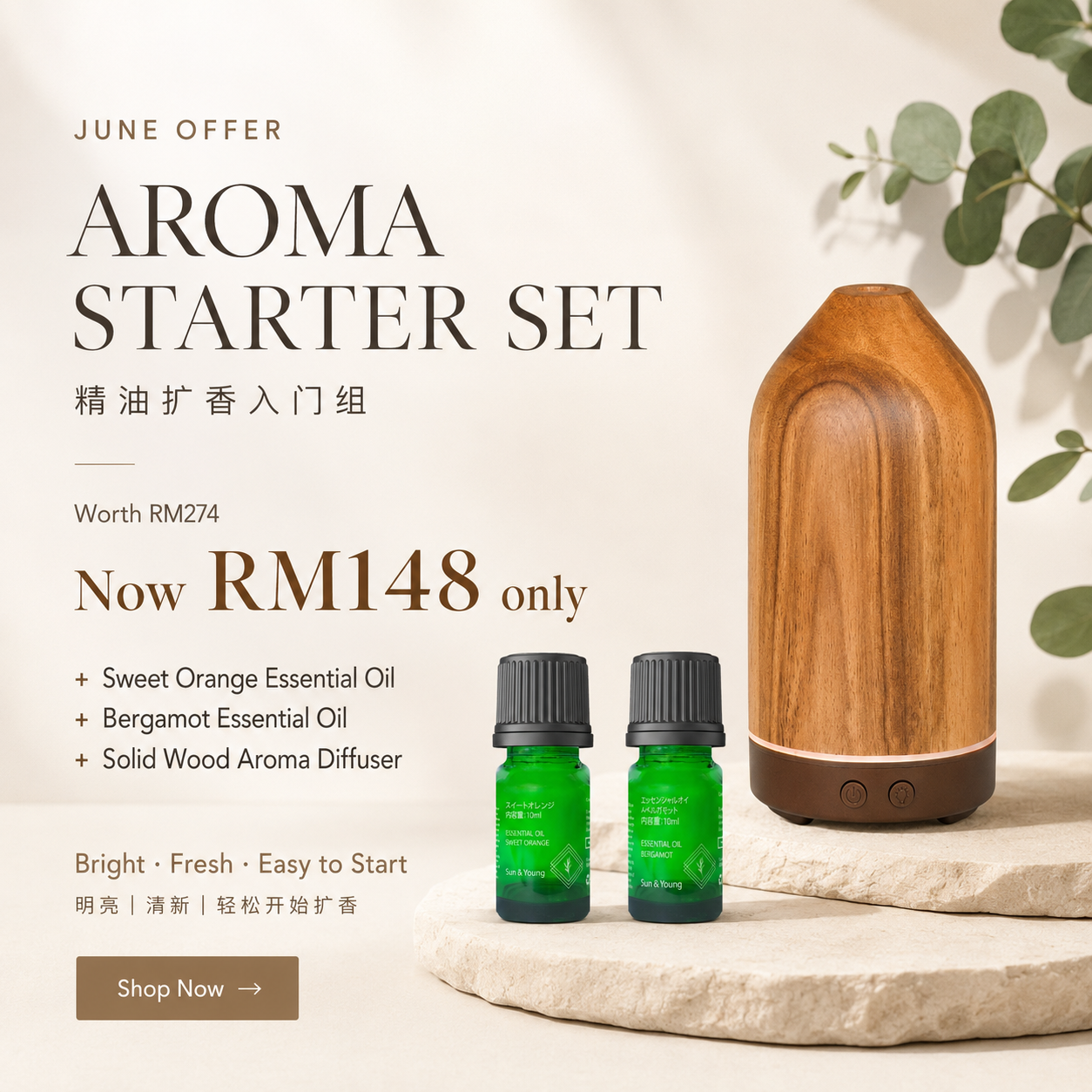 Aroma Starter Set|精油扩香入门组