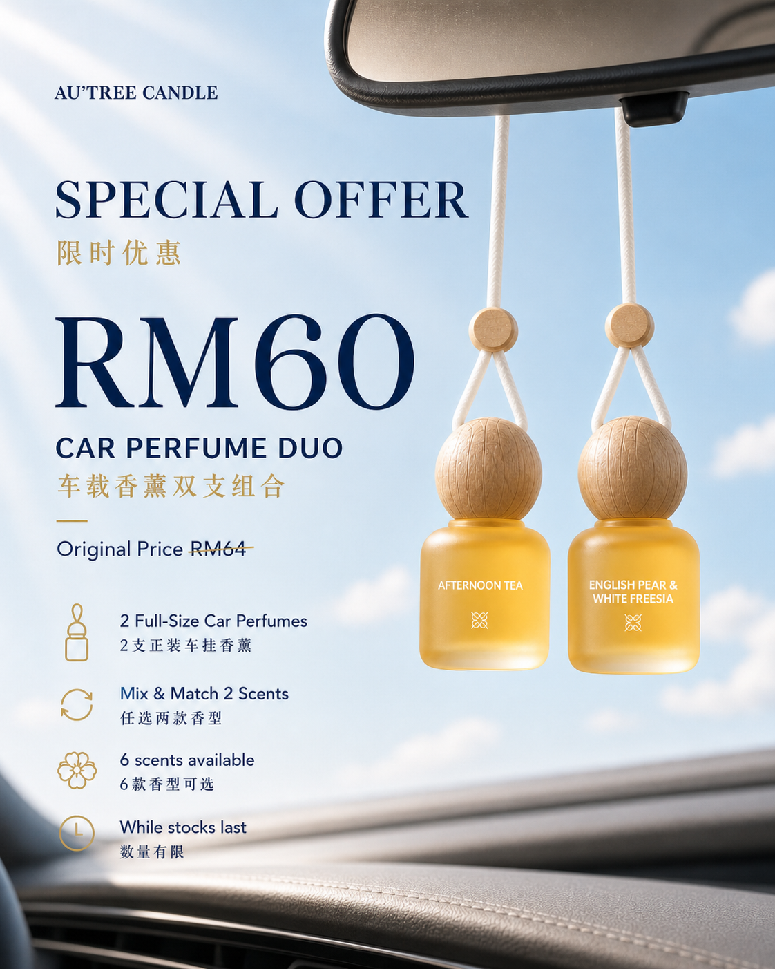 Car Diffuser Duo