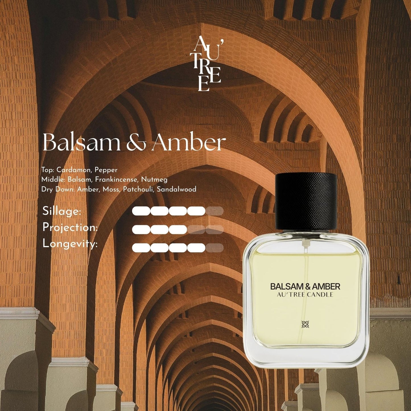 Balsam & Amber Perfume