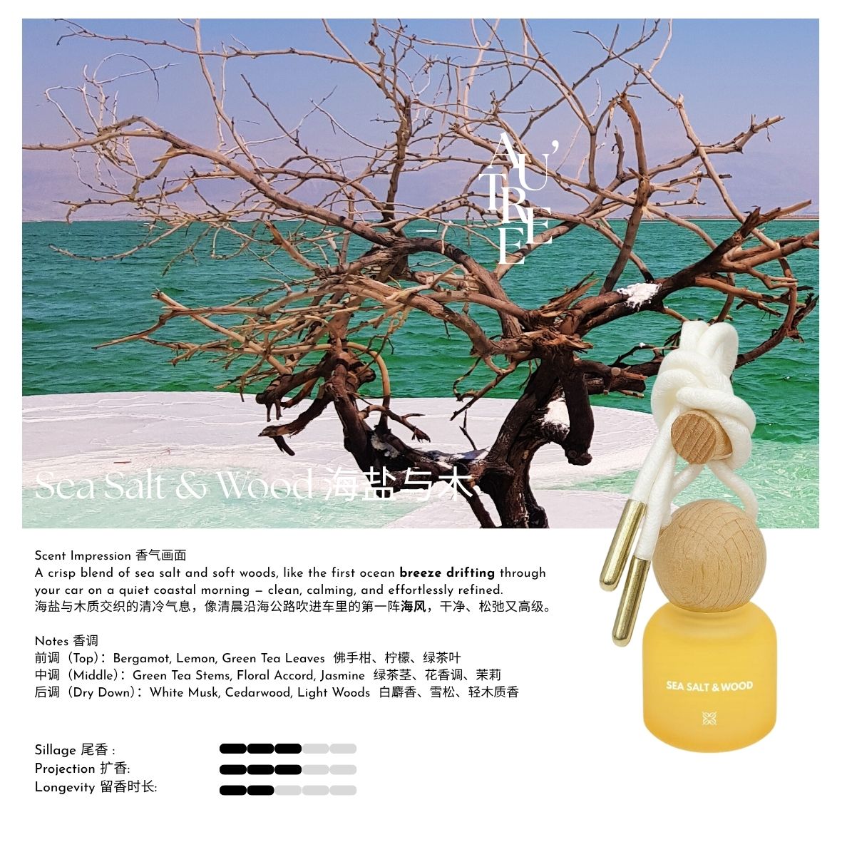 Sea Salt & Wood Car Perfume