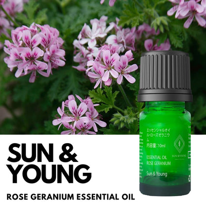 Rose Geranium Essential Oil
