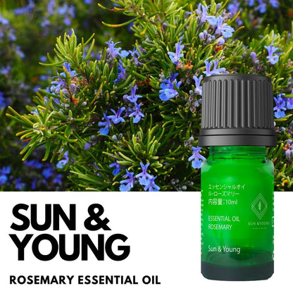 Rosemary Essential Oil