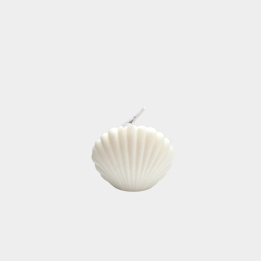 Secret Seashell