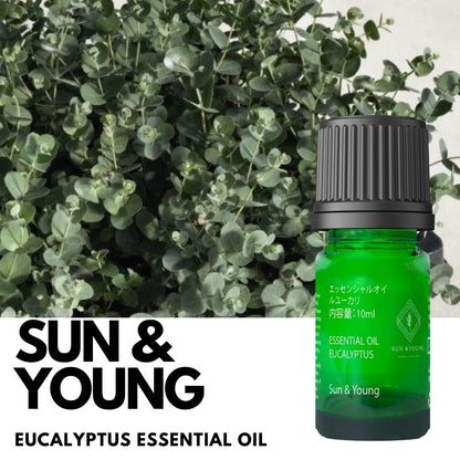 Eucalyptus Essential Oil