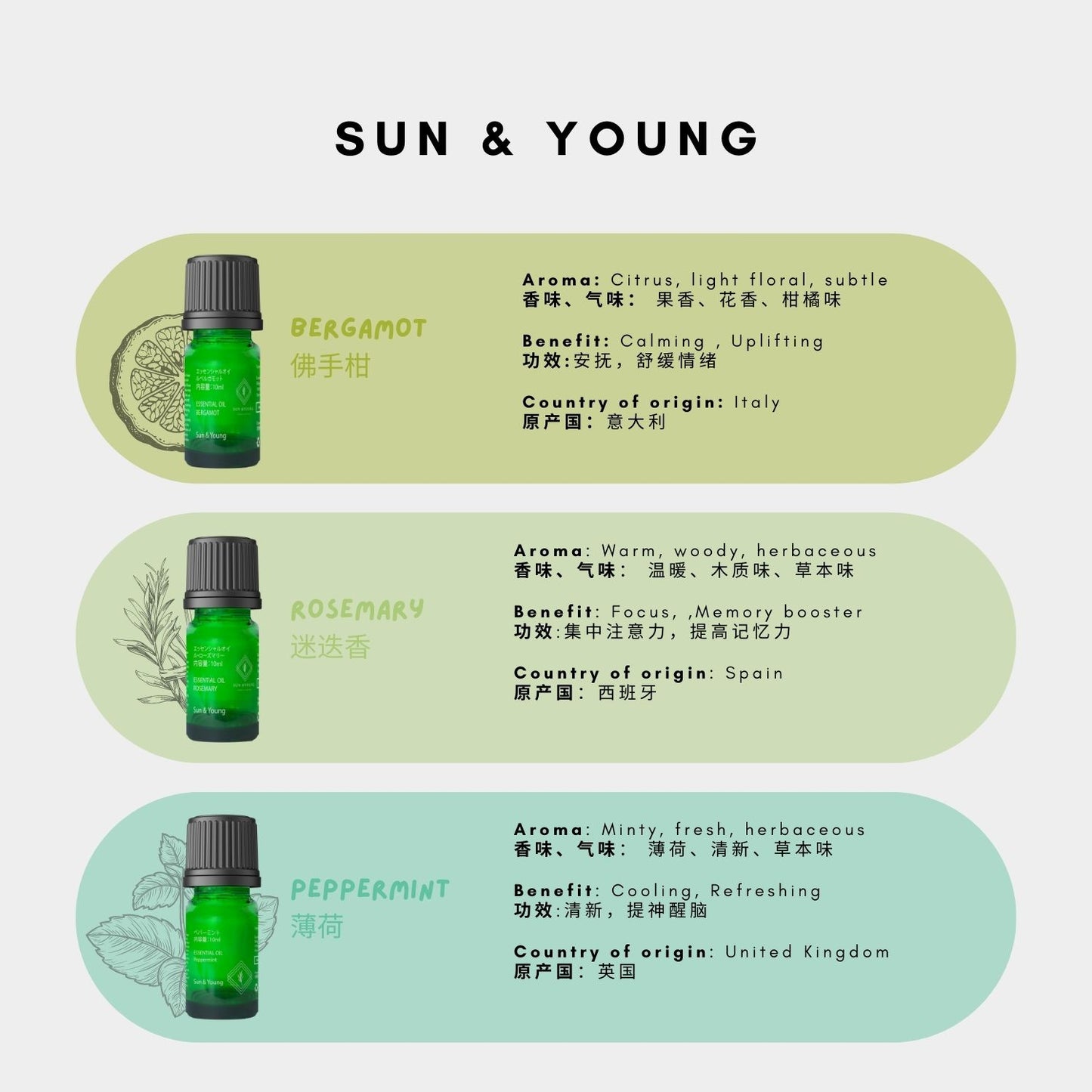 Focus & Energizes Aromatherapy Set
