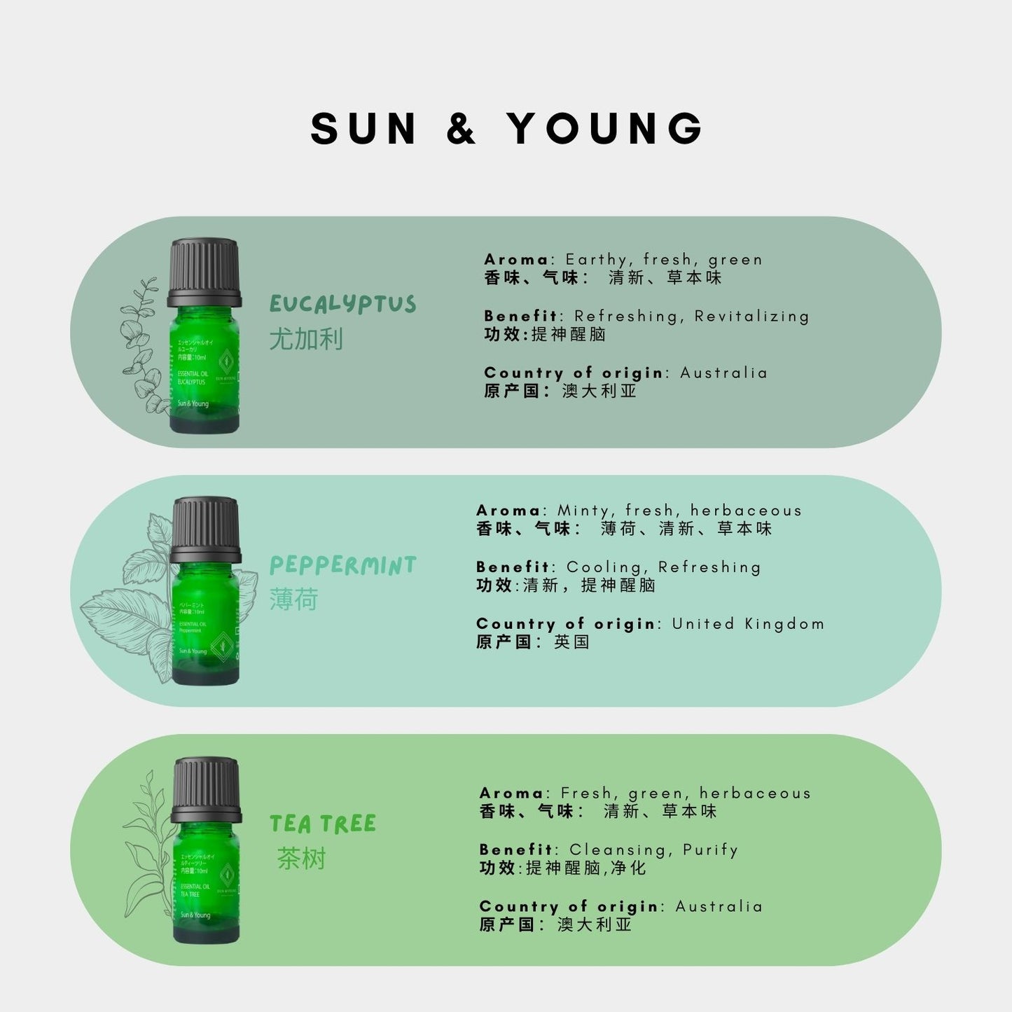 Pure Breath Aromatherapy Set