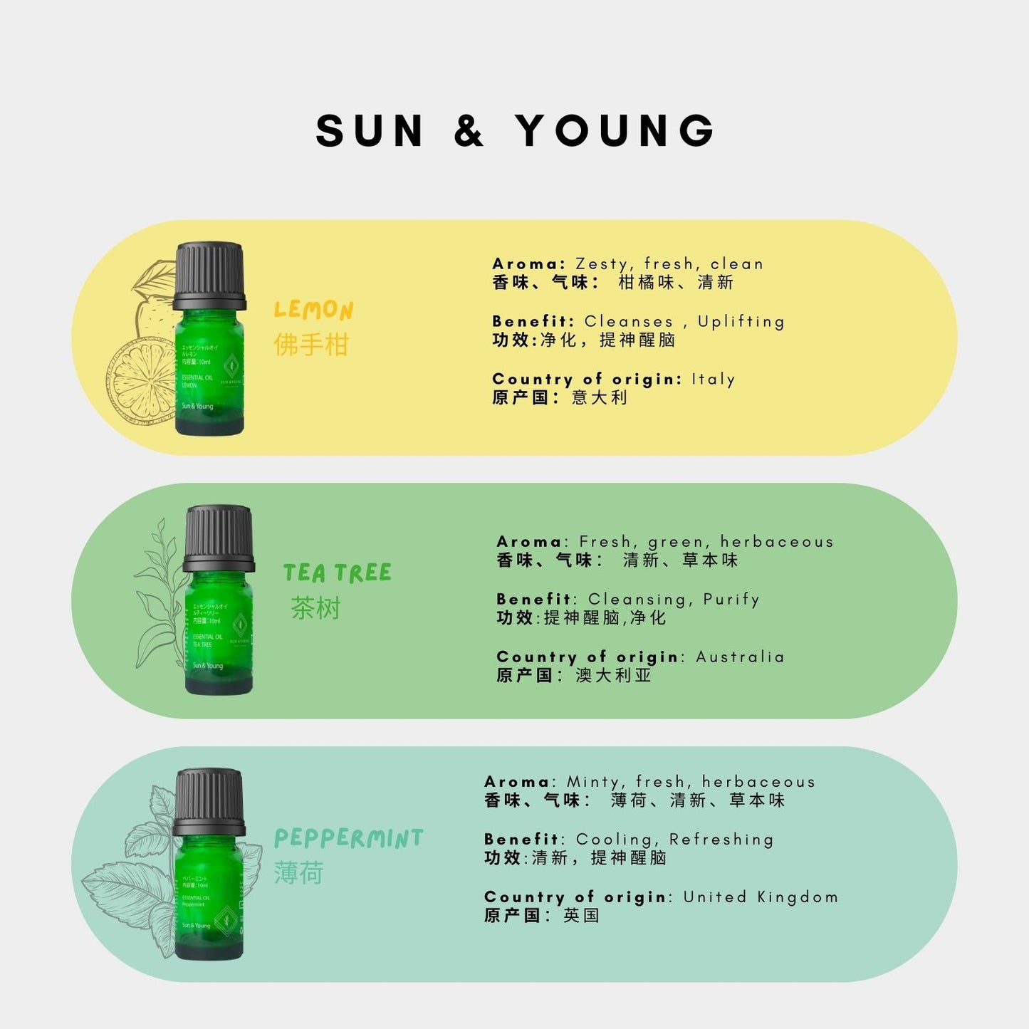 Purifying & Defend Aromatherapy Set